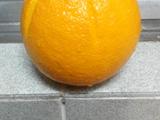 治咳聖果