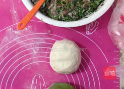 翡翠白菜饺子的做法图解1
