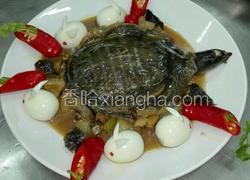 红烧甲鱼