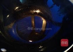 火腿肠炒鸡蛋的做法图解8