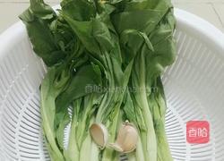 蒜蓉迟菜心的做法图解1