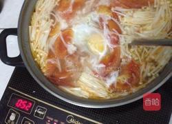 西红柿鸡蛋汤的做法图解5