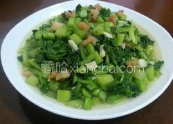 油渣炒菜心末