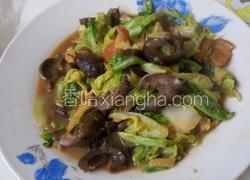 家常海参（卷心菜肉片海参）