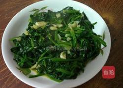 蒜炒农家菠菜的做法图解7
