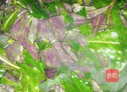 蒜泥紫色菜的做法图解5