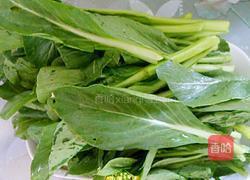 蒜蓉菜心的做法图解1