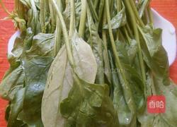 凉拌菠菜的做法图解1