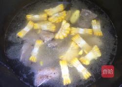 玉米胡萝卜排骨汤的做法图解5