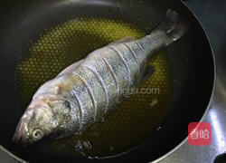 红烧鲈鱼的做法图解5