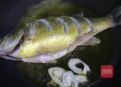 红烧鲈鱼的做法图解6