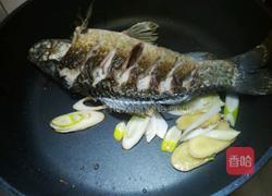 鲫鱼豆腐汤的做法图解3
