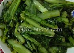 甜苦麦菜
