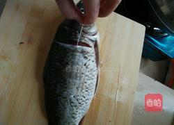 糖醋鱼的做法图解1