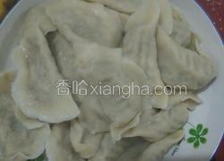 青萝卜猪肉水饺