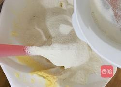 蔓越莓饼干的做法图解8