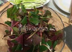 凉拌折耳根（又名鱼腥草）