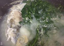 野葛菜鲫鱼汤