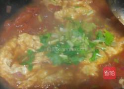 西红柿🍅鸡蛋面的做法图解18
