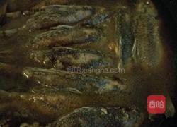 鲫鱼烧咸菜头的做法图解9