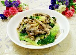 平菇炒小白菜