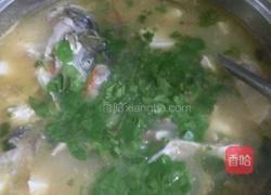 自制鱼头汤的做法图解8