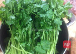 香菜饺子的做法图解2