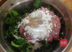 香菜饺子的做法图解6