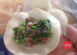 香菜饺子的做法图解8
