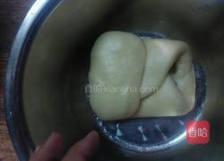 葡萄司康(发酵版)的做法图解13