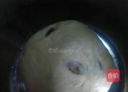 葡萄司康(发酵版)的做法图解16