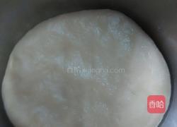 葡萄司康(发酵版)的做法图解10