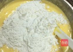 糖渍橙皮轻乳酪蛋糕的做法图解4