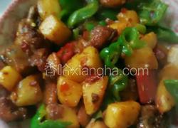 土豆烧鸡块