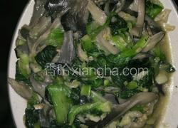 青菜蘑菇