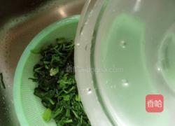 凉拌菠菜的做法图解5