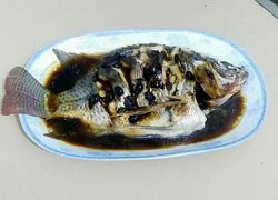 豆豉蒸福寿鱼