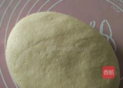 牛奶骨头饼干的做法图解5