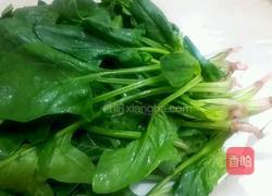 白灼菠菜的做法图解1