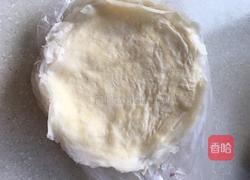 葱香肉丝春卷的做法图解7