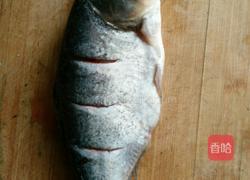 清蒸鱼的做法图解2
