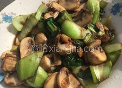 油菜炒口蘑