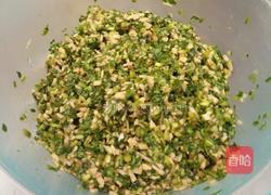 素菜饺的做法图解5