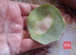 翡翠饺子(韭菜猪肉馅)的做法图解10