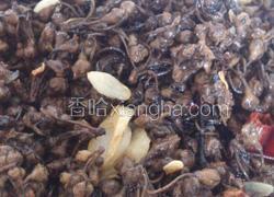 家常香辣棠梨花