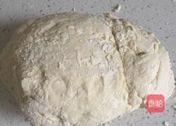 菜鸟如何用酵母发面团的做法图解4