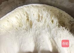 菜鸟如何用酵母发面团的做法图解10