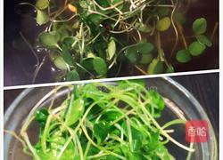 泛着浓浓春意的味道| 虫草花拌干丝的做法图解4