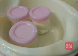自制酸奶的做法图解10