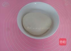 猪肉洋葱馅饼的做法图解2